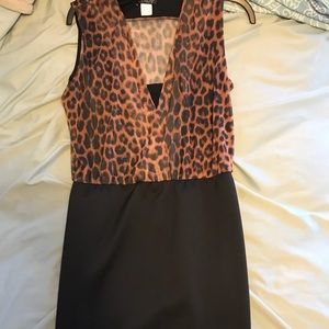 Cheeta pencil dress